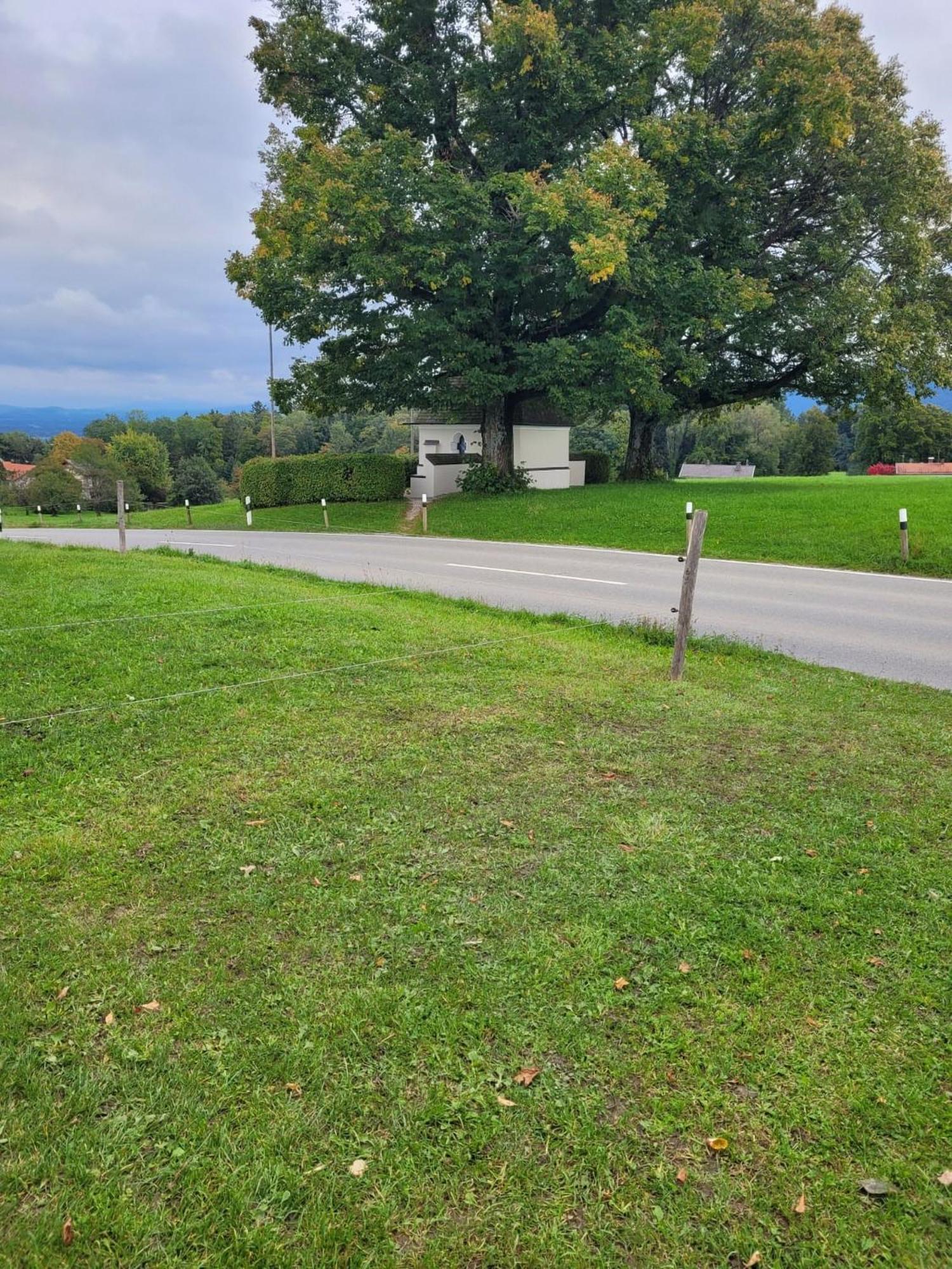 Schnuckeliges Appartement In Prien Am Chiemsee Eksteriør billede